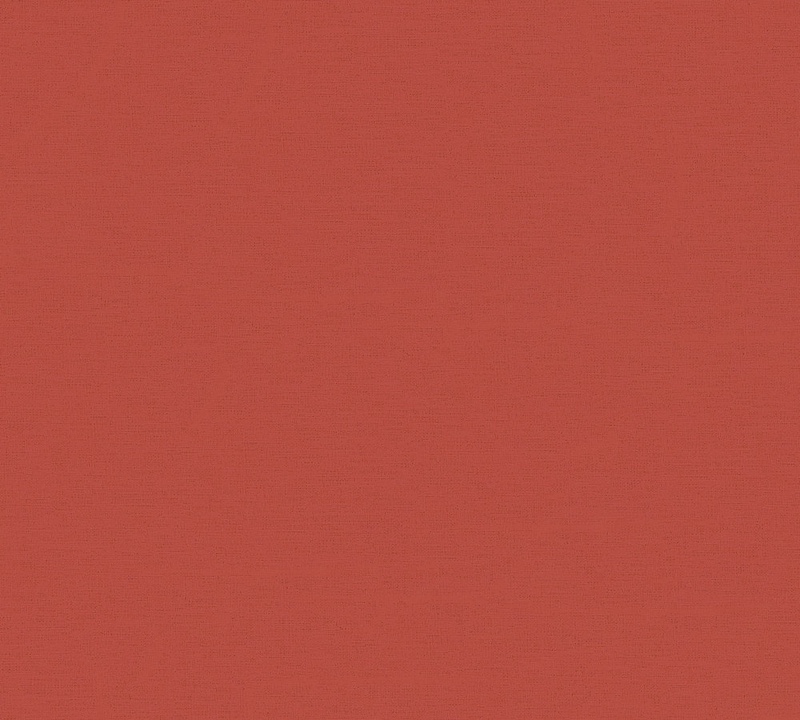 371785.jpg