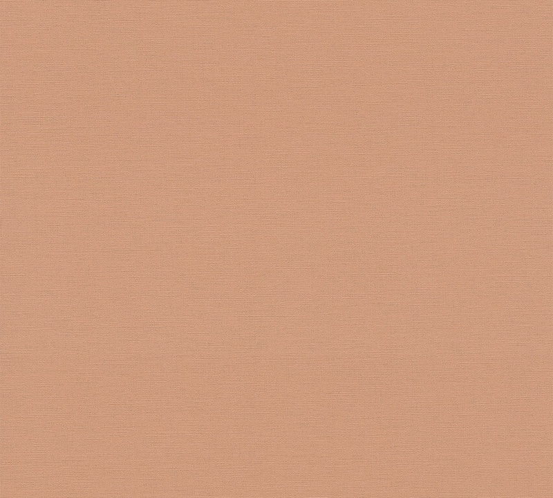 390973.jpg
